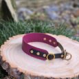 The Blackwood Berry Tapered Collar, in maroon and black with gold studs and a brass ring, rests on a round wooden slice amid green grass and blurred outdoor foliage.