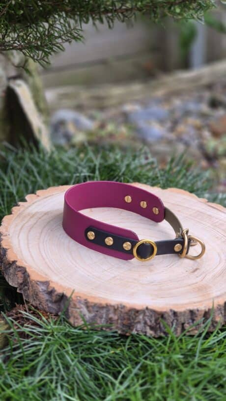 The Blackwood Berry Tapered Collar, in maroon and black with gold studs and a brass ring, rests on a round wooden slice amid green grass and blurred outdoor foliage.
