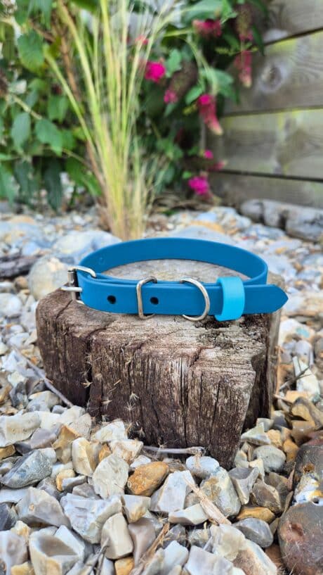 Blue Lagoon Collar