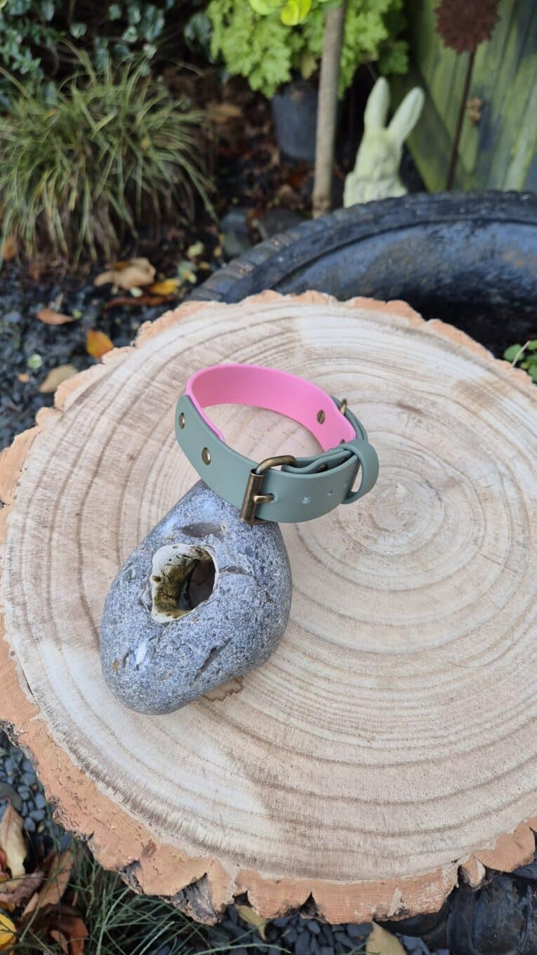 A green and pink collar with a brass buckle is placed on a grey stone with a hole, set on top of a large, flat tree stump outdoors with plants and a decorative rabbit in the background.