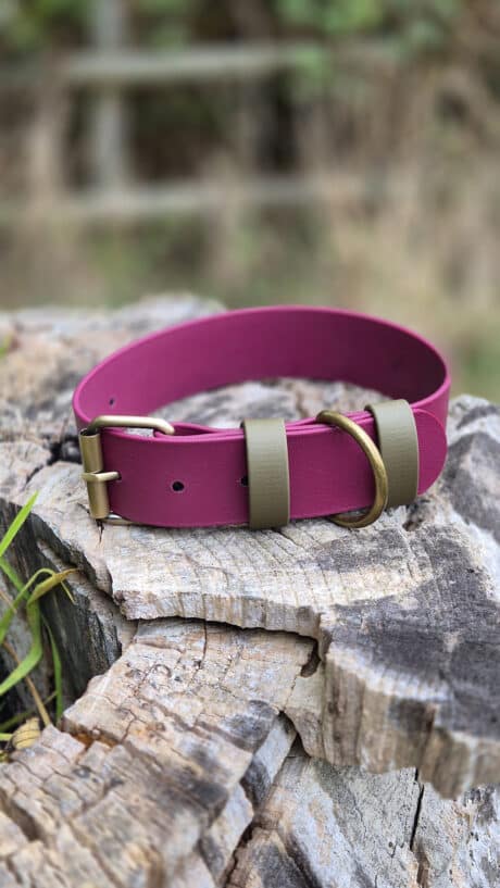 The Bordeaux Grove Extra Wide Collar in magenta, featuring an olive green buckle and D-ring, is displayed on a rough tree stump outdoors with blurred greenery in the background.