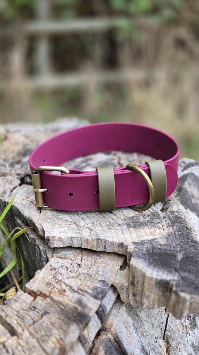 The Bordeaux Grove Extra Wide Collar in magenta, featuring an olive green buckle and D-ring, is displayed on a rough tree stump outdoors with blurred greenery in the background.
