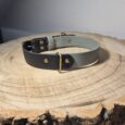 A two-tone leather dog collar with brass fittings rests on a thick, round wooden slab with visible tree rings. The background is neutral with a faintly visible shelf above.
