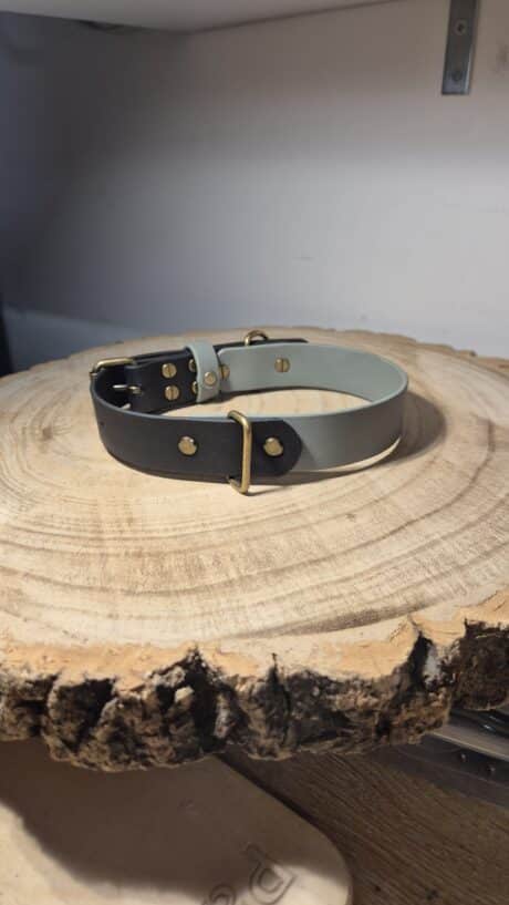 A two-tone leather dog collar with brass fittings rests on a thick, round wooden slab with visible tree rings. The background is neutral with a faintly visible shelf above.