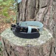 Two leather dog collars, one light blue and one black, with metal buckles, are placed on a tree stump in a forested outdoor setting.