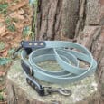 A light blue and black dog lead with brass fittings is coiled on a tree stump outdoors, surrounded by bark, leaves, and a holly branch.