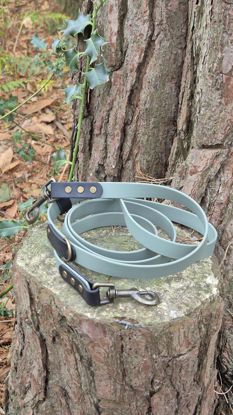 A light blue and black dog lead with brass fittings is coiled on a tree stump outdoors, surrounded by bark, leaves, and a holly branch.