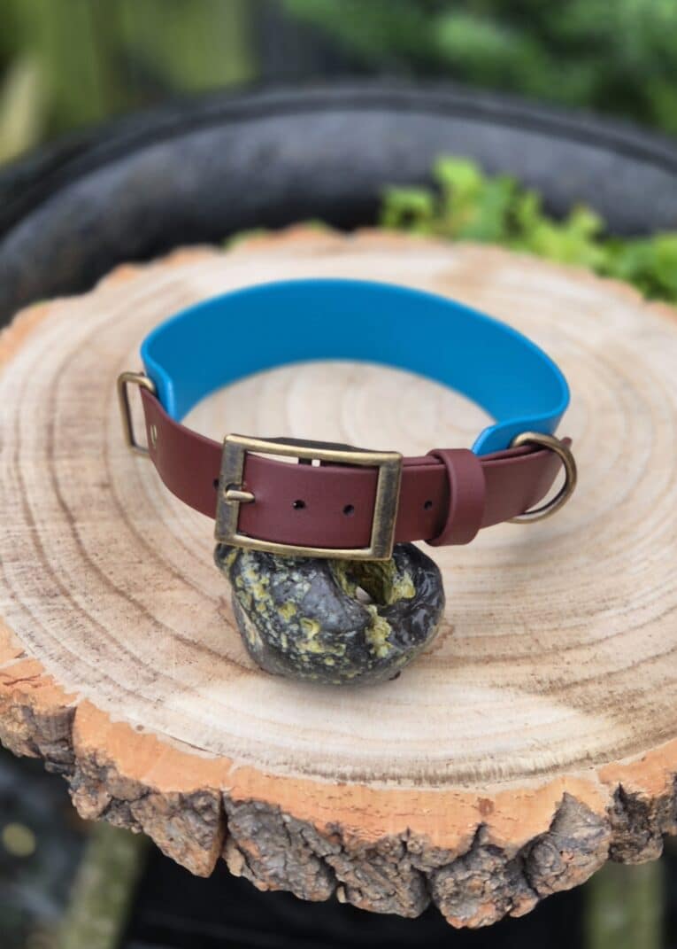 The Driftwood Tapered Collar, featuring brown and blue tones with a brass buckle and D-ring, is showcased wrapped around a dark stone on a tree trunk slice, evoking earthy driftwood hues amid soft green surroundings.