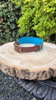 A brown and blue dog collar with brass fittings sits on a tree stump outdoors, with green bushes in the background.