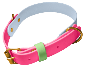 Bright pink BioThane dog collar with green accent band and gold hardware, customisable design option.