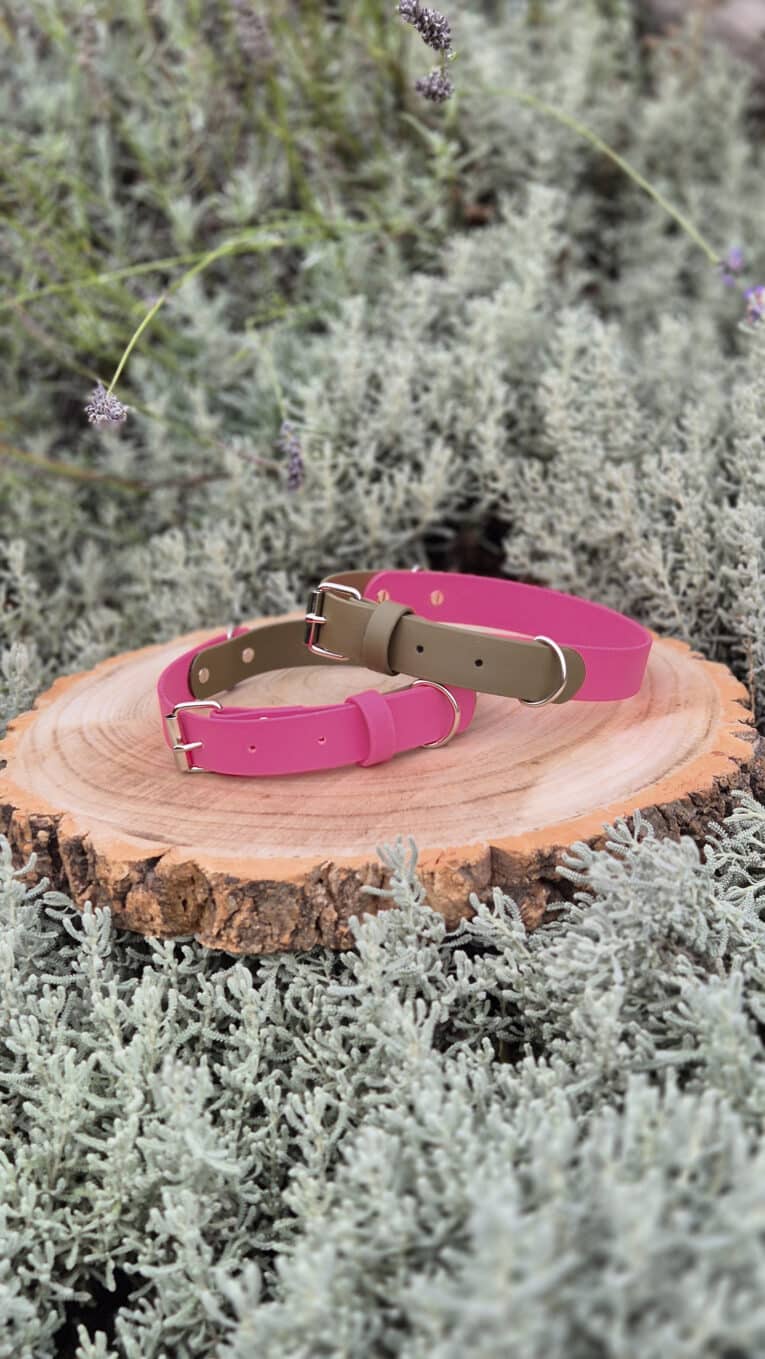 Two pink dog collars with gold buckles are displayed on a round wooden slab, surrounded by silvery-green foliage and lavender stems in an outdoor setting.