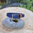 A Harbourwood Single Colour Collar in blue and tan with a brass buckle rests on a smooth grey stone with a hole, atop a tree stump surrounded by lush green plants outdoors.