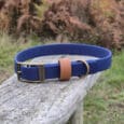 A blue dog collar with a brass buckle and D-ring, and a tan loop, resting on a weathered wooden bench outdoors with green grass and brown foliage in the background.