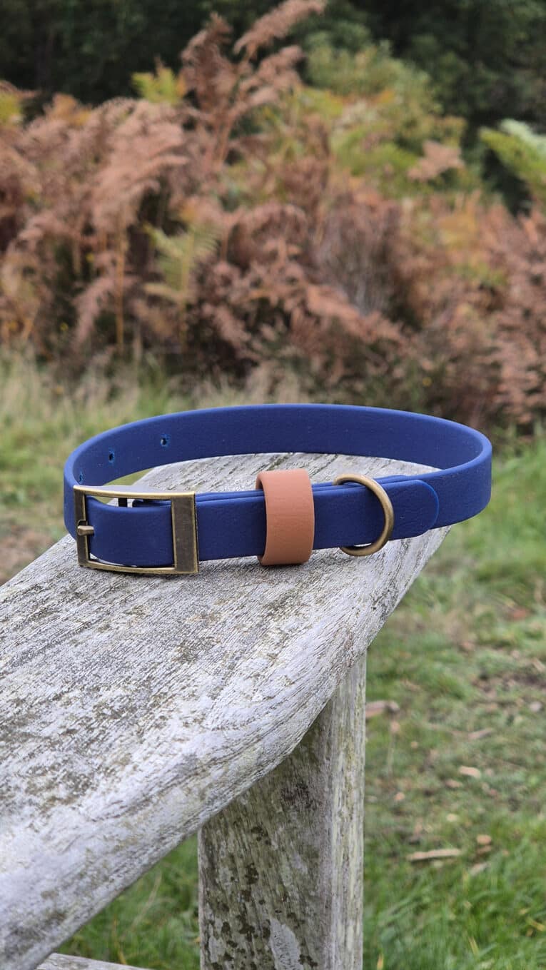 A blue dog collar with a brass buckle and D-ring, and a tan loop, resting on a weathered wooden bench outdoors with green grass and brown foliage in the background.