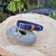 A Harbourwood Single Colour Collar in blue with a gold buckle and brown loop is displayed on a grey stone atop a cut tree stump, with green foliage and a wooden fence in the background.