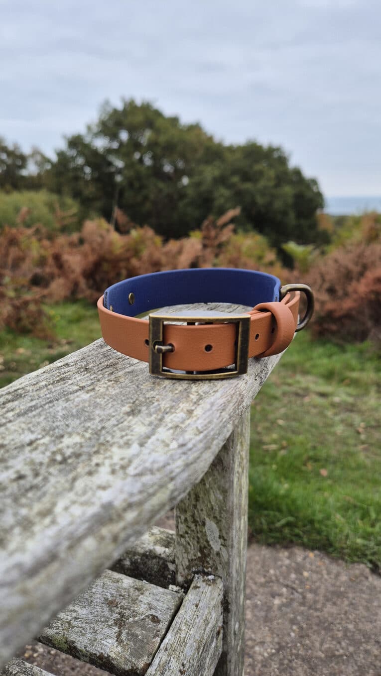 A brown and blue dog collar rests on a weathered wooden fence outdoors, with green grass, shrubs, and trees in the background under a cloudy sky.