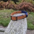 A brown leather dog collar and a blue handmade biothane dog collar rest on a weathered wooden bench outdoors, with blurred trees, bushes, and grass in the background.