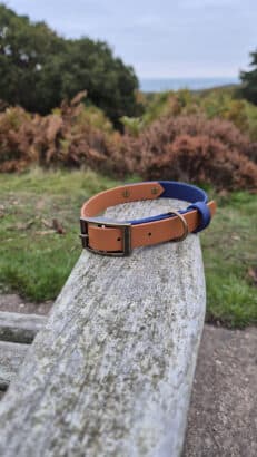Harbourwood Two Colour Collar