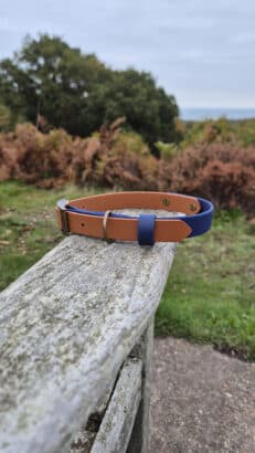 A tan and navy blue dog collar rests on a weathered wooden fence outdoors, with grass, brown shrubs, and trees visible in the background under a cloudy sky.