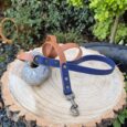 A brown and navy blue dog lead with a metal clasp is coiled on a large, circular wooden tree slice. The slice rests on a black stone surface surrounded by greenery and a garden setting.