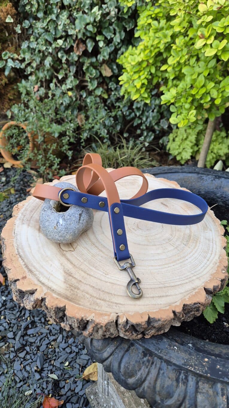 A brown and navy blue dog lead with a metal clasp is coiled on a large, circular wooden tree slice. The slice rests on a black stone surface surrounded by greenery and a garden setting.