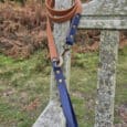 A brown and navy blue leather dog lead is draped over the back of a weathered wooden bench outdoors, with grass, ferns, and trees visible in the background.