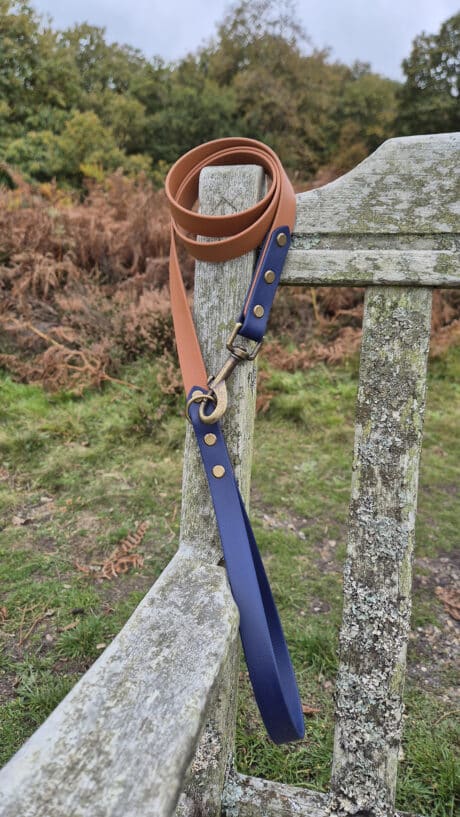 A brown and navy blue leather dog lead is draped over the back of a weathered wooden bench outdoors, with grass, ferns, and trees visible in the background.