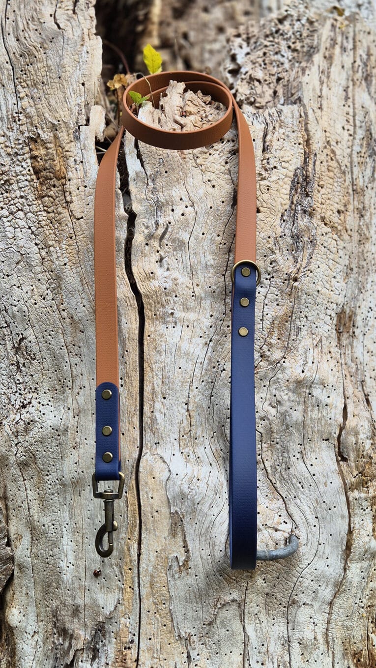 A brown and navy blue leather dog lead with brass fittings is laid out on a weathered, textured tree trunk.