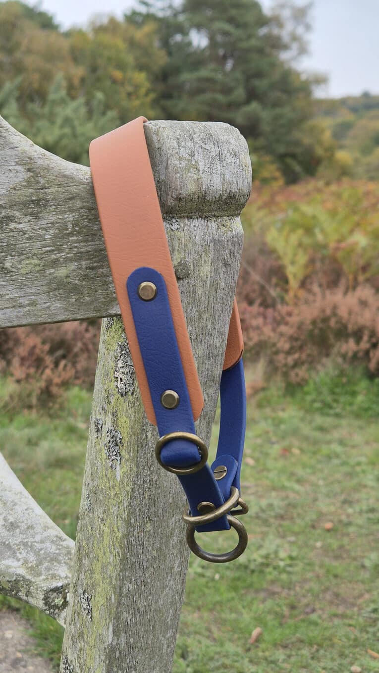 A tan and blue leather dog collar with brass fittings hangs over the top of a weathered wooden fence outdoors, with autumnal trees and foliage in the background.