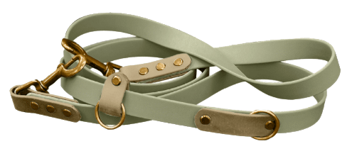 Sage green BioThane dog lead with brass hardware and matching collar, customisable design options available.