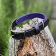 A black and purple dog collar with a brass buckle rests on a weathered tree stump, with green foliage in the blurred background.