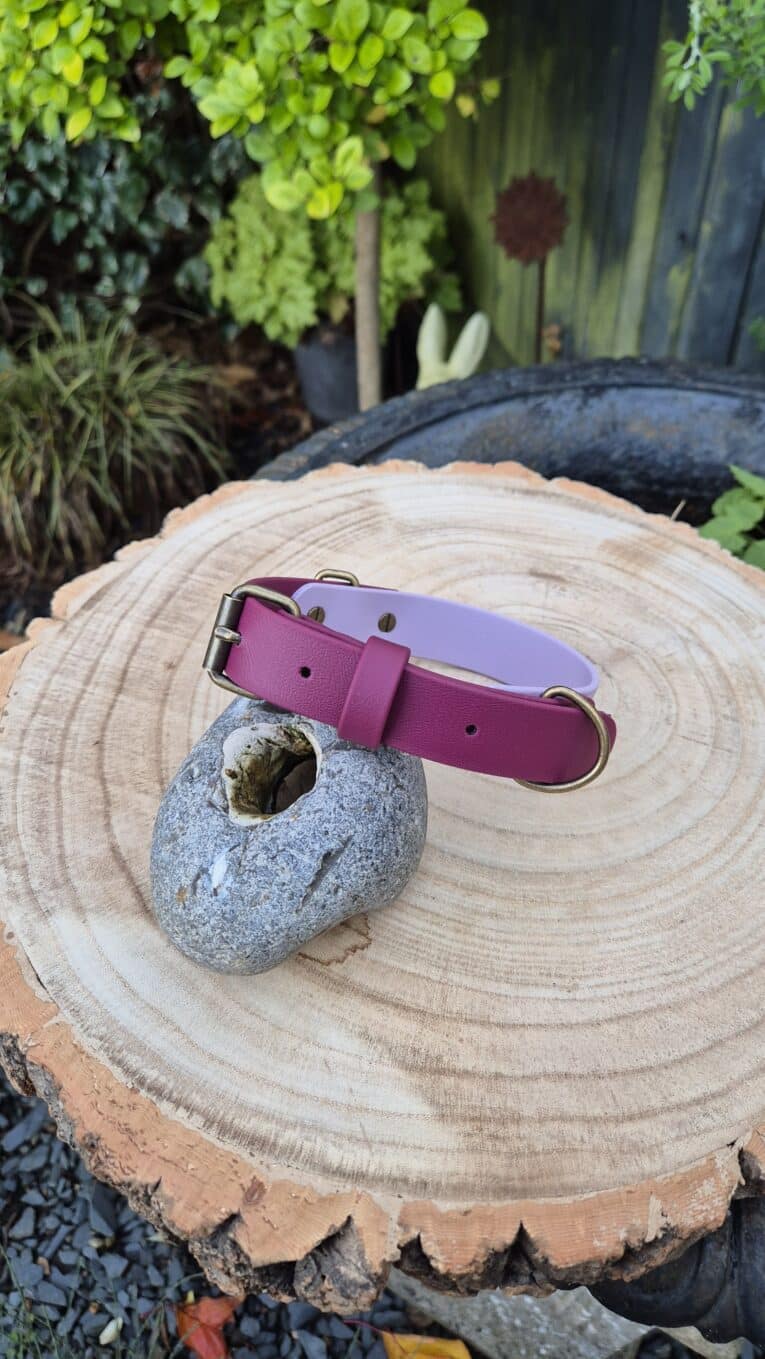 A pink dog collar with gold hardware is displayed on a round, light-coloured tree stump. The collar rests on a grey stone with a hole, surrounded by green plants and a wooden fence in the background.