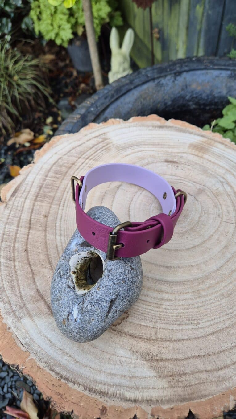A pink and purple buckle bracelet is displayed on a grey stone with a hole, placed on a tree stump outdoors. Green plants and a rabbit garden ornament are visible in the background.