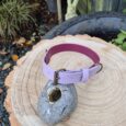 A pink dog collar with a metal buckle and D-ring is displayed on a smooth, round grey stone, placed on a large tree stump outdoors, with greenery and a garden background.