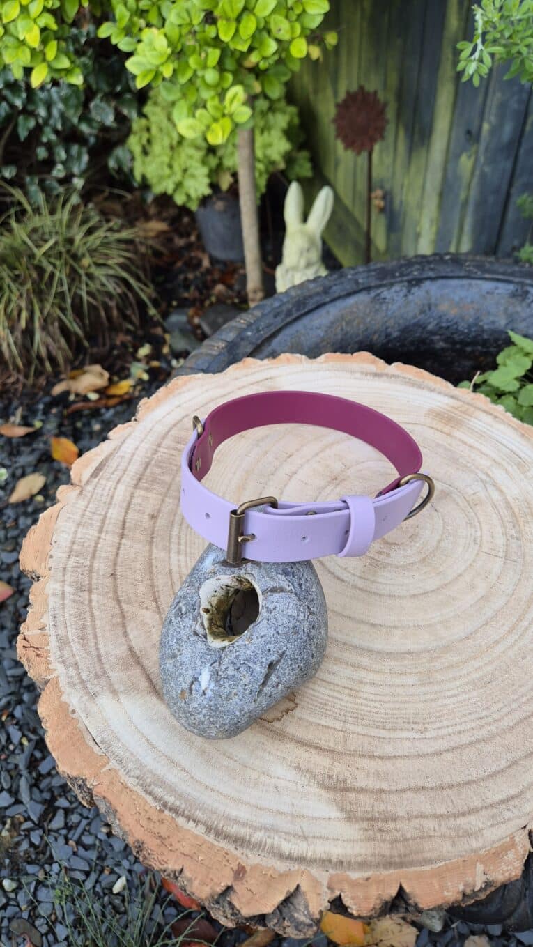 A pink dog collar with a metal buckle and D-ring is displayed on a smooth, round grey stone, placed on a large tree stump outdoors, with greenery and a garden background.
