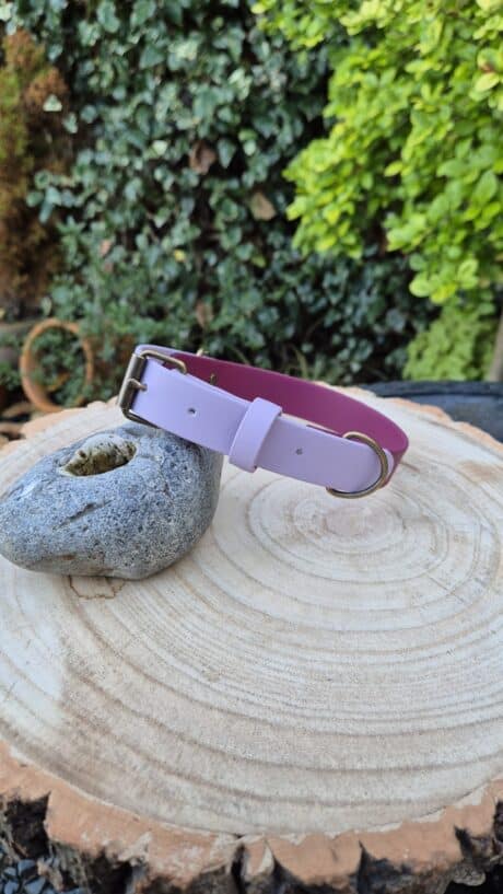 A light purple dog collar with a metal buckle is displayed on a smooth stone atop a tree stump, with green leafy plants in the blurred background.