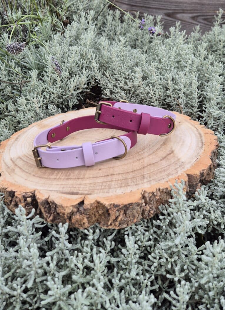 Two dog collars, one light purple and one magenta, rest on a round wooden slab surrounded by silvery-green foliage.