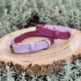Two dog collars—one lavender and one magenta with brass fittings—rest side by side on a round wooden slice, surrounded by pale green foliage.