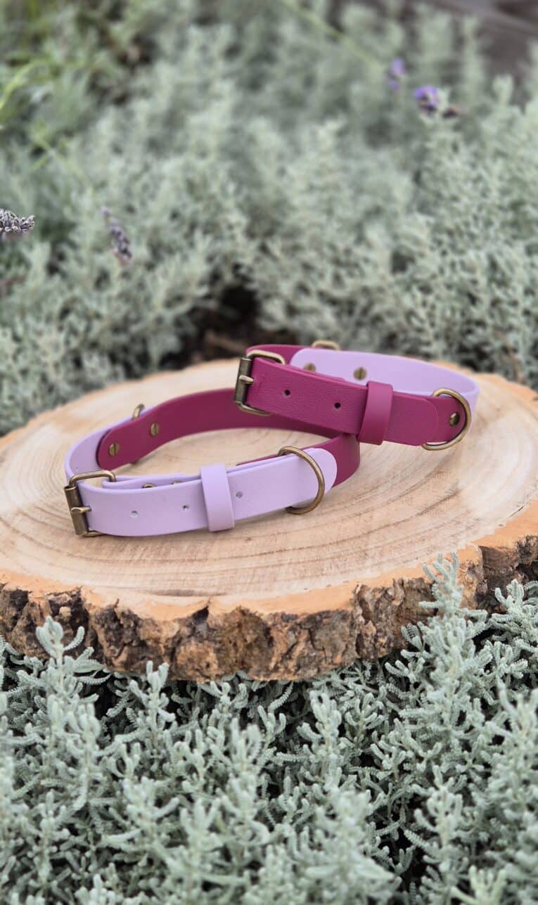 Two dog collars—one lavender and one magenta with brass fittings—rest side by side on a round wooden slice, surrounded by pale green foliage.