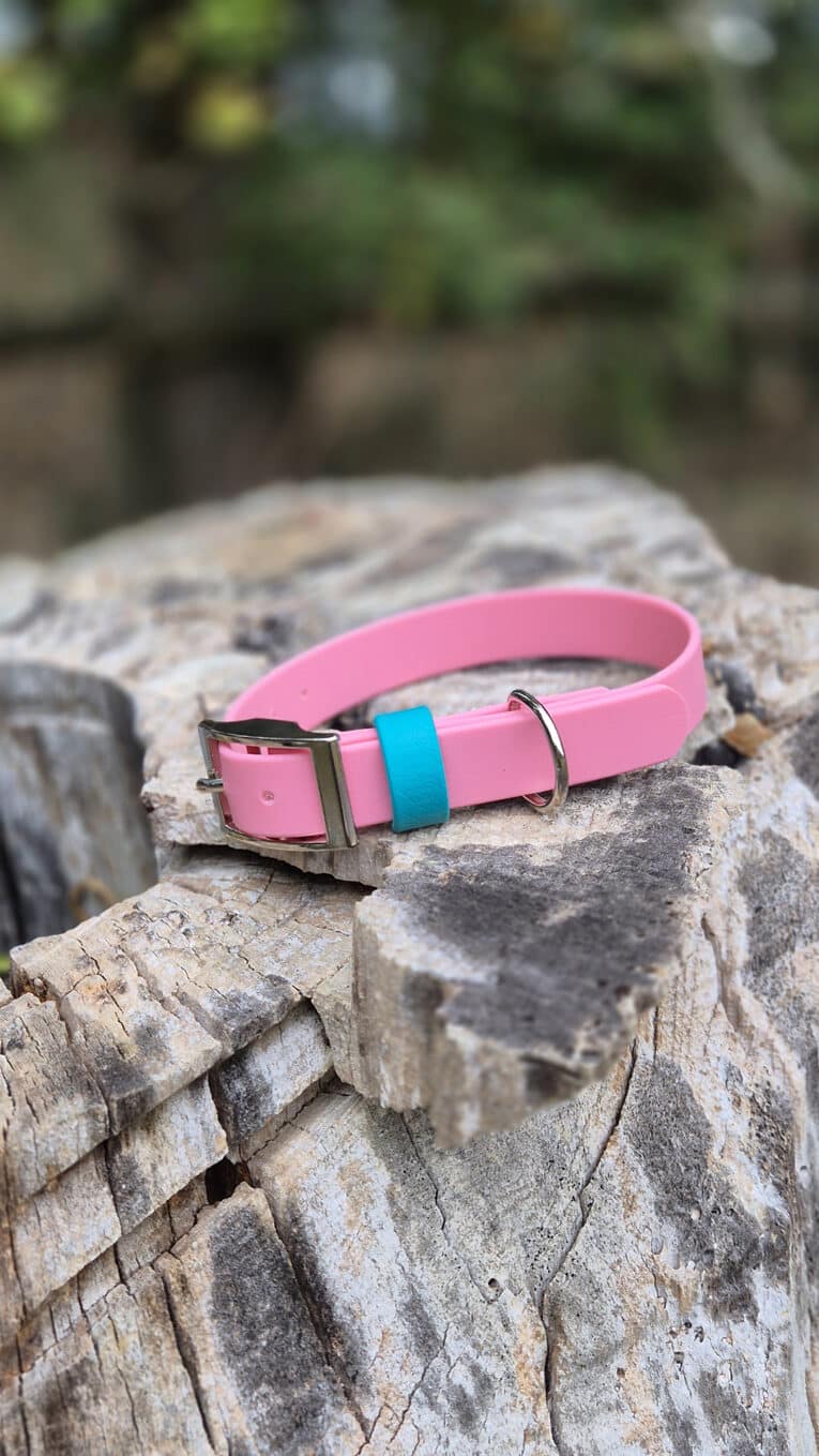 The Pink Clover Collar with Accent Keeper sits atop a large, weathered tree stump outdoors, its silver buckle gleaming against a tranquil backdrop of blurred greenery.