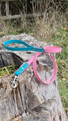 A blue and pink dog lead with a metal clasp is draped over a weathered tree stump outdoors, surrounded by grass and dried plants.