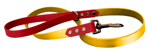 Red and yellow BioThane dog lead with matching collar, showcasing customisable colour combinations for handmade pet accessories.