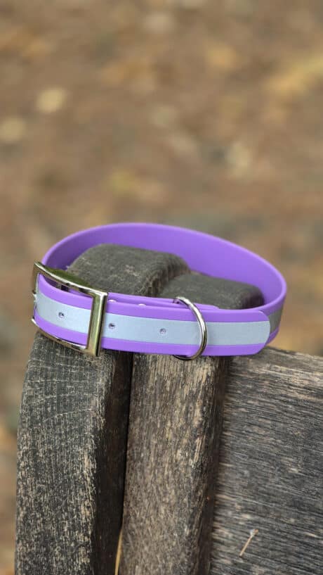 Reflective Lilac Single Colour Collar