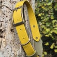 A yellow and olive green dog collar with brass fittings is wrapped around the trunk of a weathered, holey tree. Green foliage with yellow flowers appears in the blurred background.
