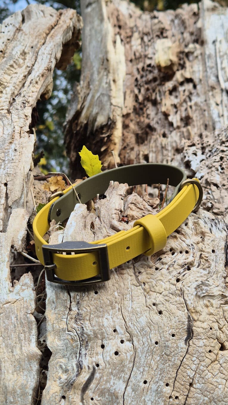 A yellow belt with a dark metal buckle is placed on a textured, weathered tree trunk with holes, surrounded by dried wood and a few green leaves.