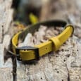 A yellow belt with a dark metal buckle is laid out on a weathered, hole-filled piece of wood outdoors.