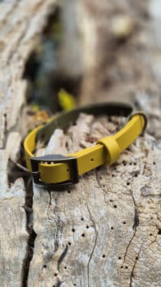A yellow belt with a dark metal buckle is laid out on a weathered, hole-filled piece of wood outdoors.
