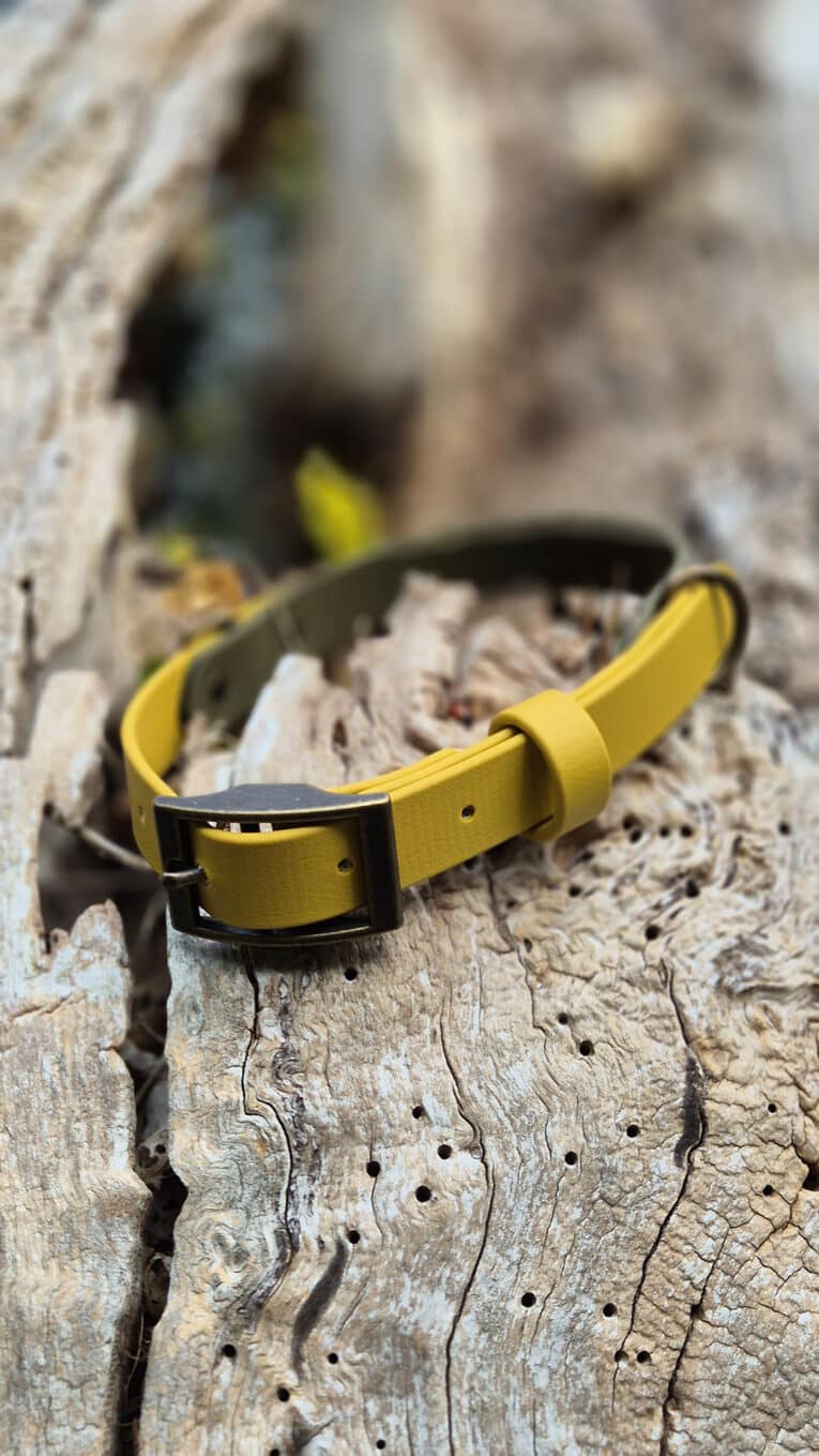 A yellow belt with a dark metal buckle is laid out on a weathered, hole-filled piece of wood outdoors.