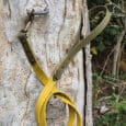 A yellow dog lead with tan accents is looped and hanging from a metal hook on a weathered tree trunk, with green foliage in the background.