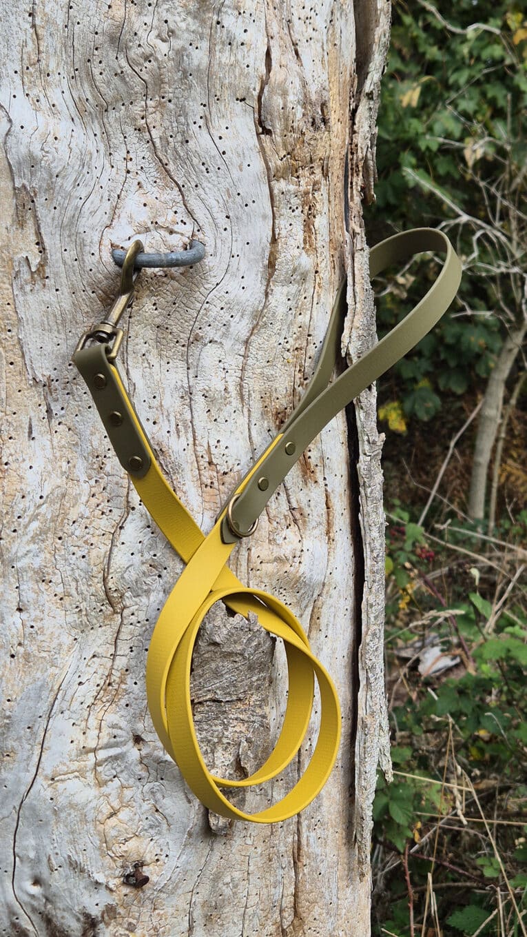 A yellow dog lead with tan accents is looped and hanging from a metal hook on a weathered tree trunk, with green foliage in the background.